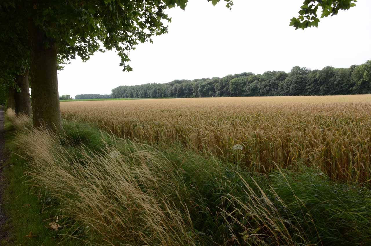 🚜 En France va s’ouvrir Hectar, le plus grand campus agricole du monde