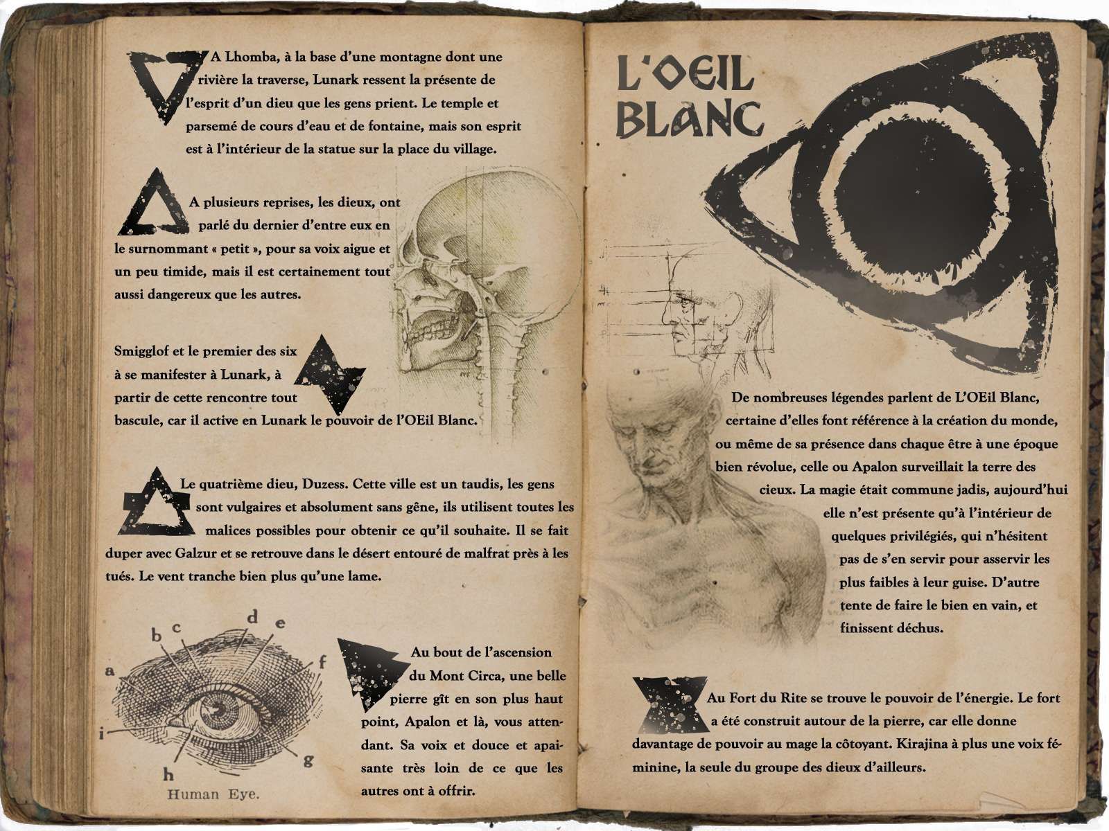 👁  “L’Oeil Blanc”, le jeu vidéo adapté aux personnes malvoyantes