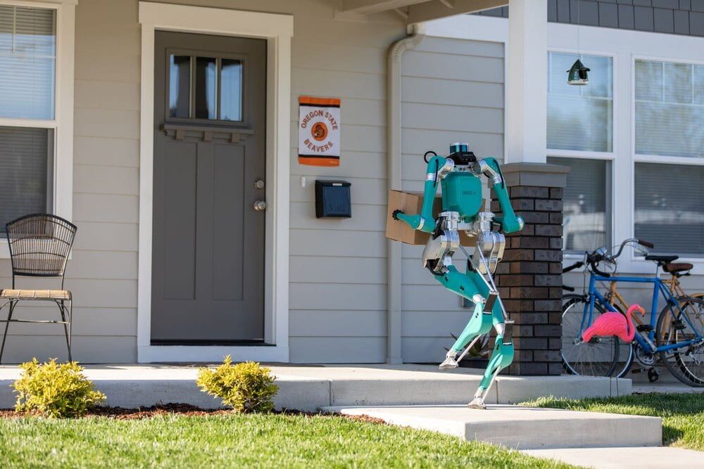 Cassie le robot a appris à marcher seul